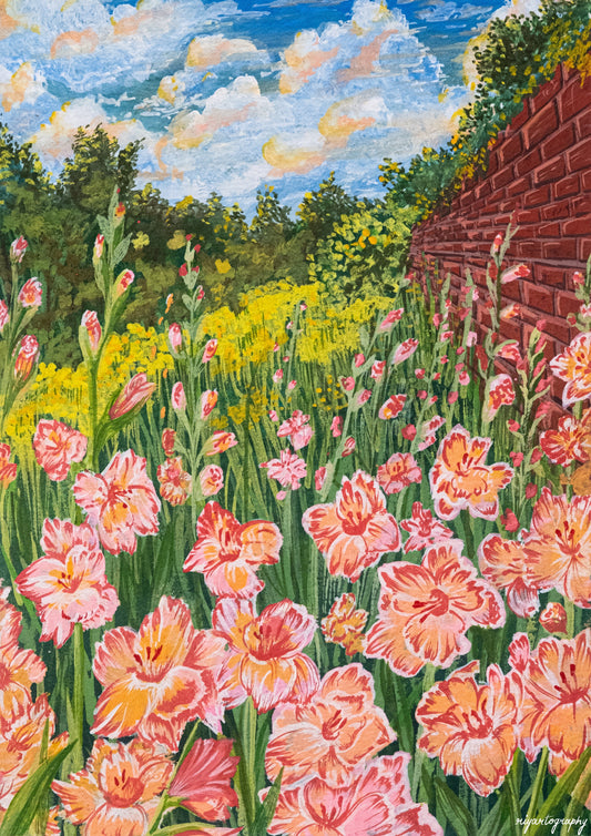 A Sea of Gladioli