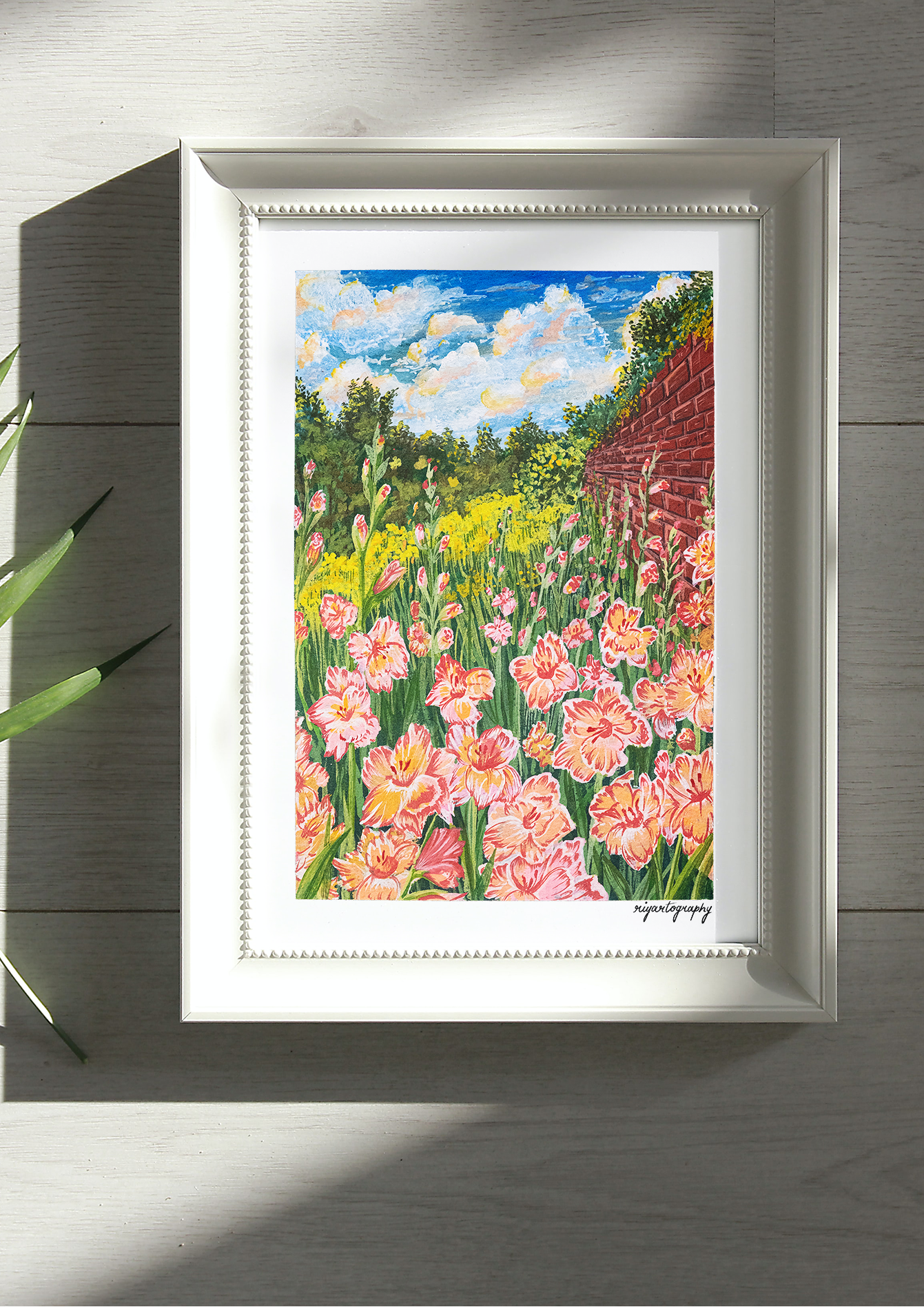 A Sea of Gladioli