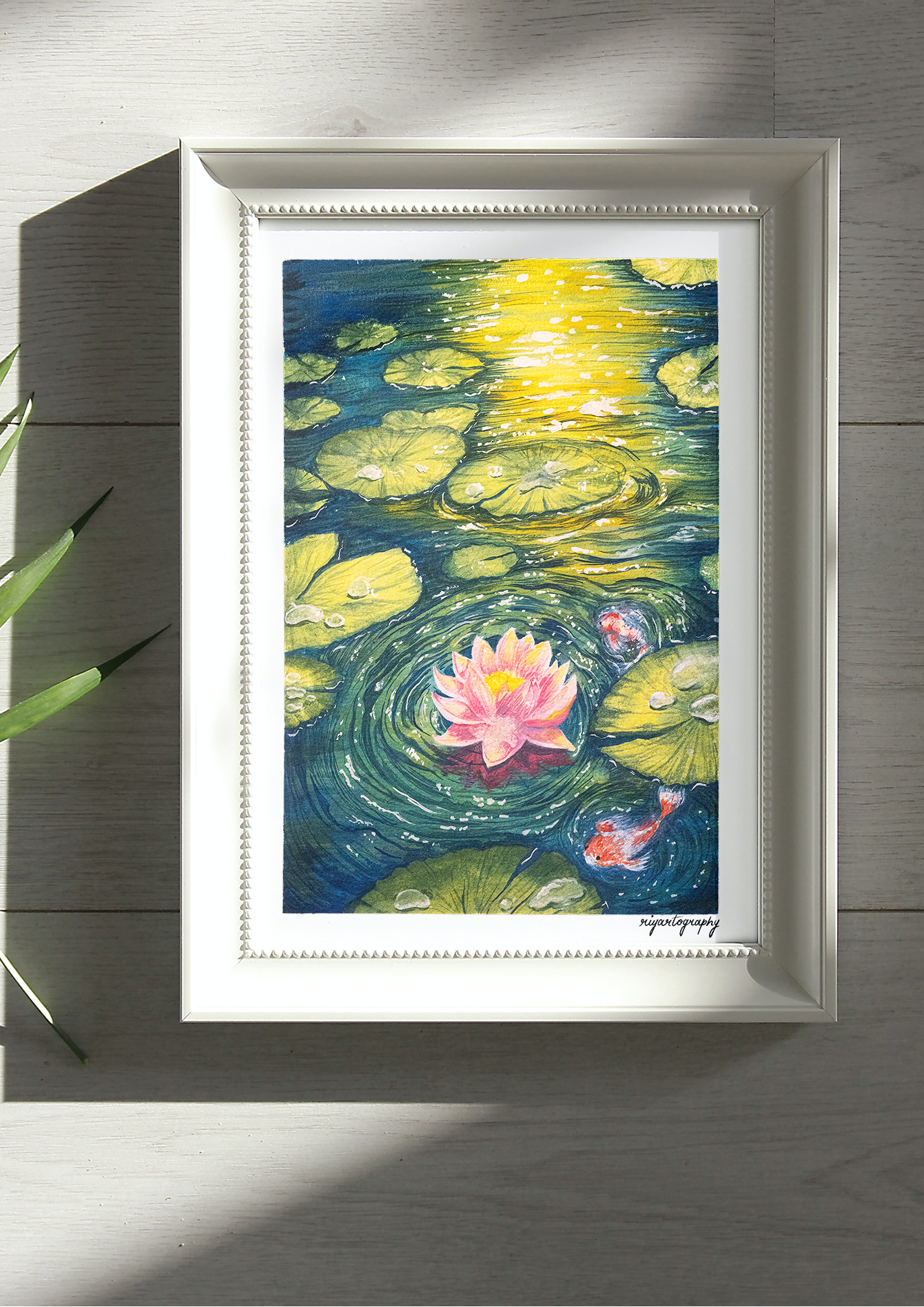 Shantiniketan Lotus Pond