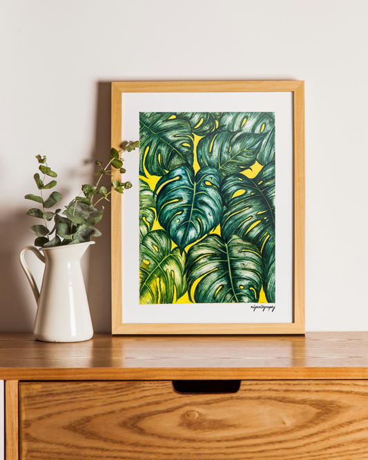 Monstera