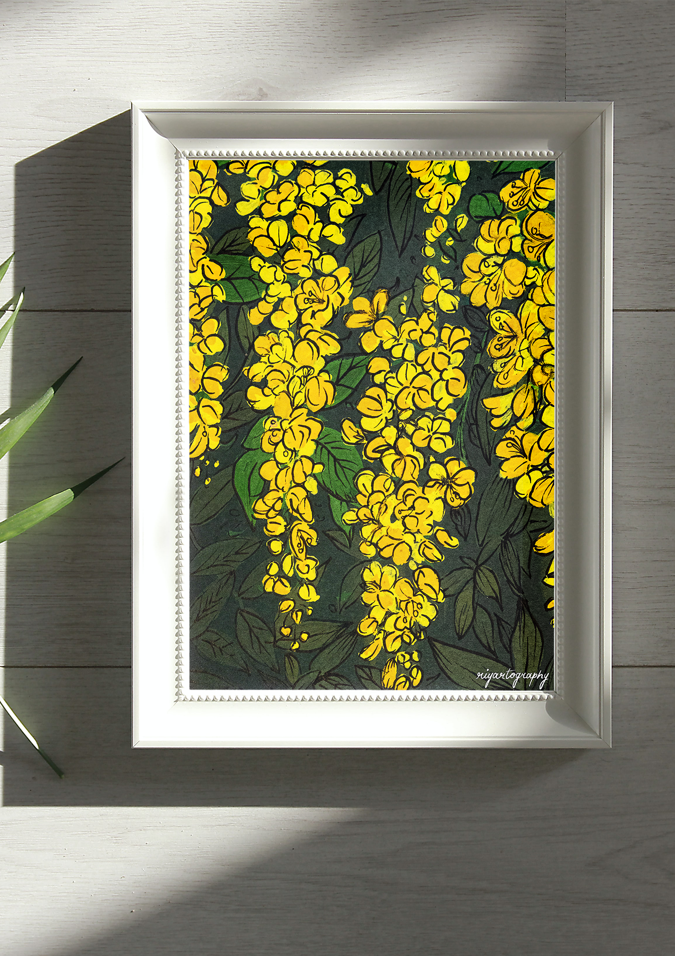 An Amaltas Dream