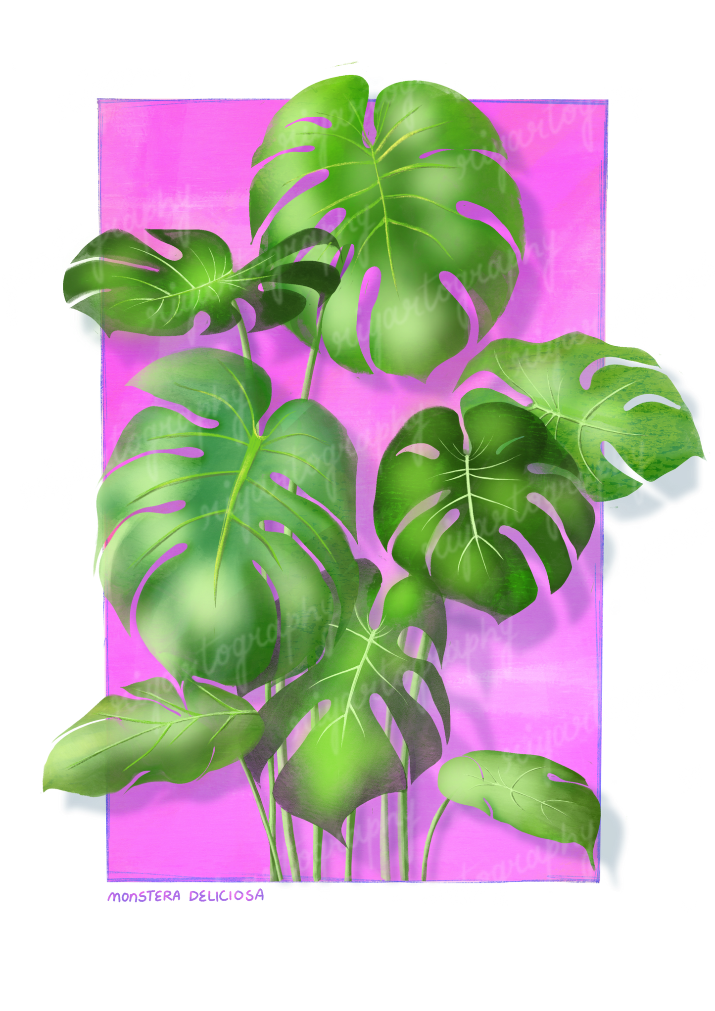 Monstera Deliciosa - Sticker