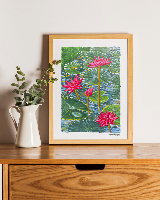Water Lily Pond