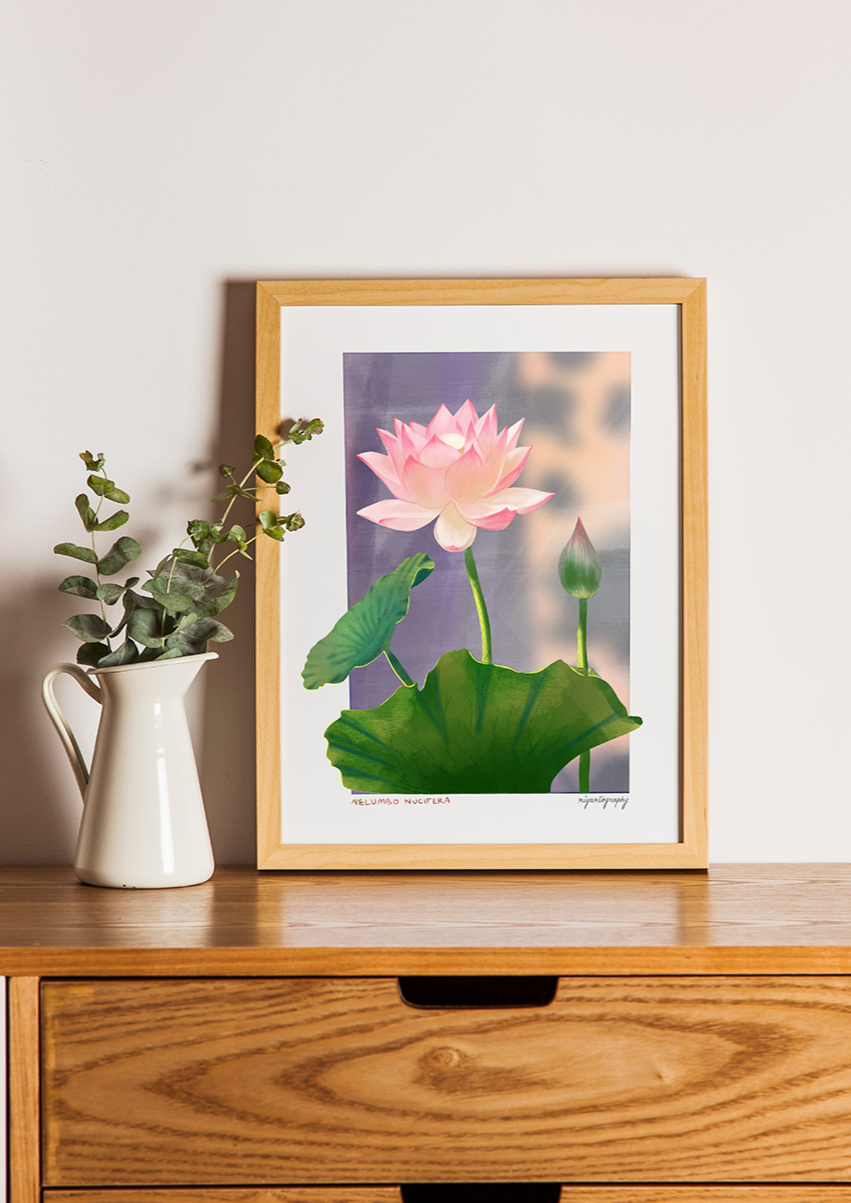 Nelumbo Nucifera aka Lotus