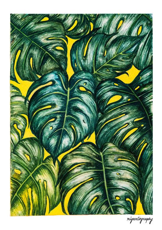 Monstera